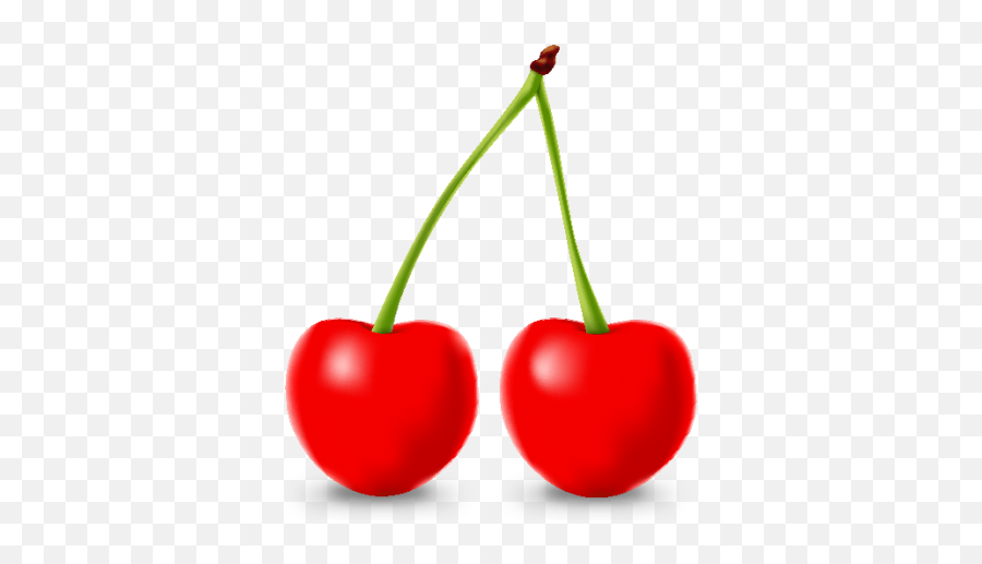 Cherry Iconfruits Fruit Vector - Transparent Cherry Vector Png,Fruits Icon