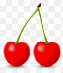 Cherry Iconfruits Vector - Transparent Vector png