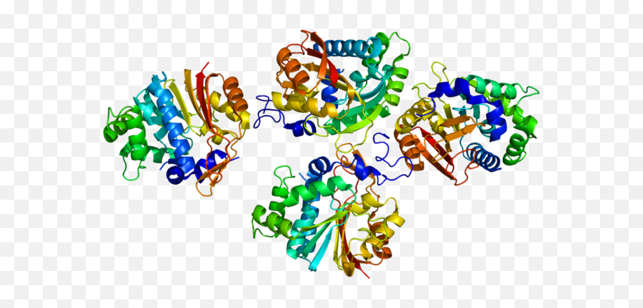 Nnmt - Wikipedia Nicotinamida N Methyltransferase Png,925 Nash Icon