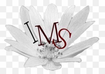 Illinois Music Society Competition Rules - Passion Flowers png