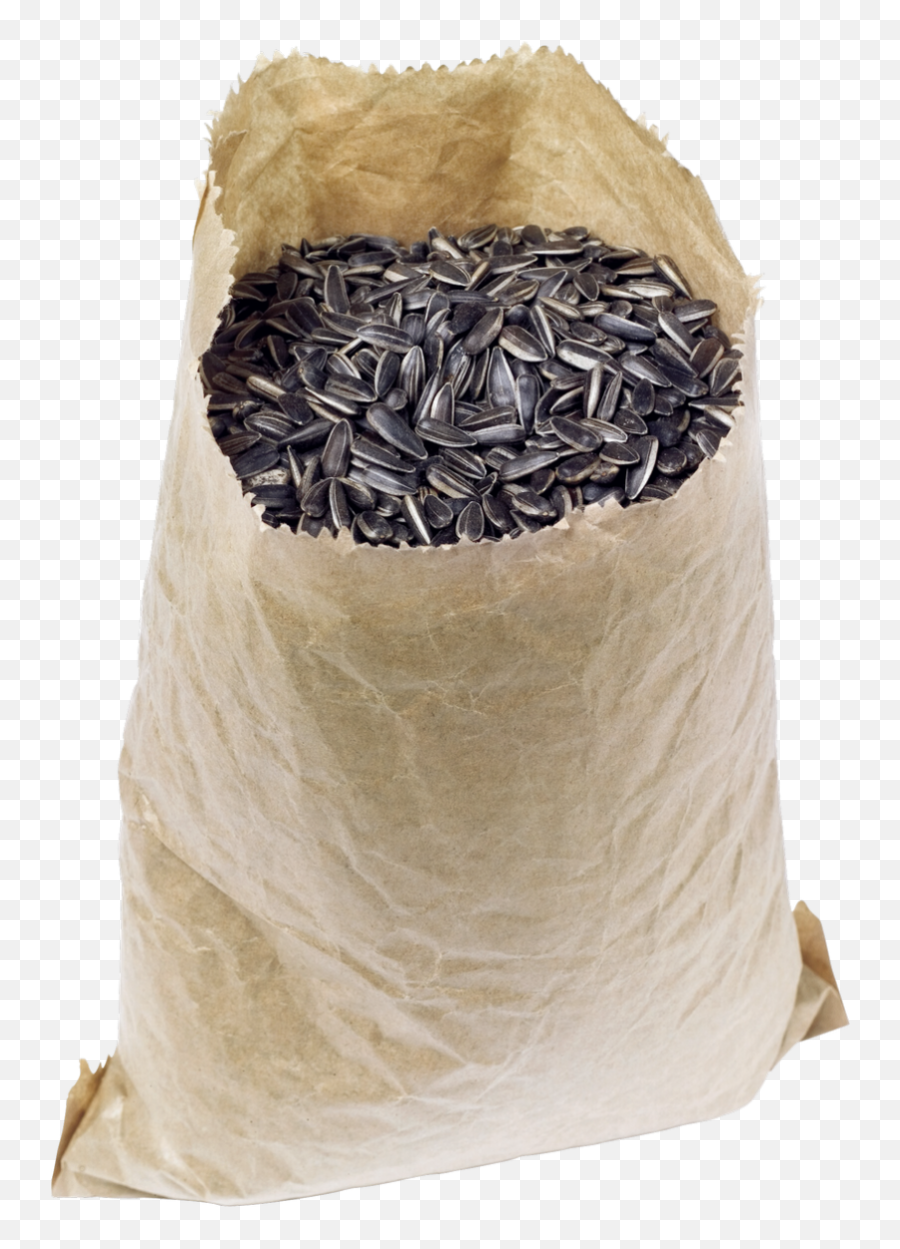 Sunflower Seeds Png Image - Png,Seed Png