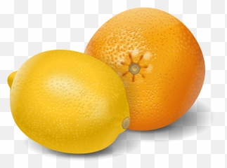 Download Hd Lemon Orange Fruits Clipart - Oranges And Lemons Clipart Png,Lemon Clipart Png