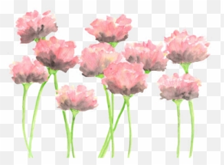 Flower Flowers Rose Roses Petal Petals Leafs - Watercolor Flowers Png Free