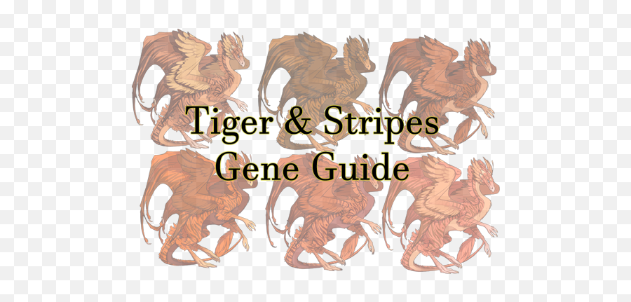 Tiger U0026 Stripes Gene Guide Guides Flight Rising - Illustration Png,Tiger Stripes Png