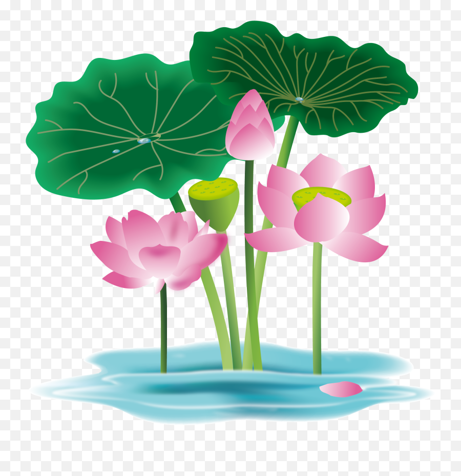 Hand Painted Flower Plant Water Lily - Lily Flower Clipart Vector Png,Lily Png