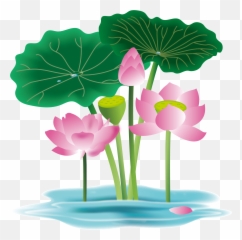 Hand Painted Flower Plant Water Lily - Lily Flower Clipart Vector Png,Lily Png