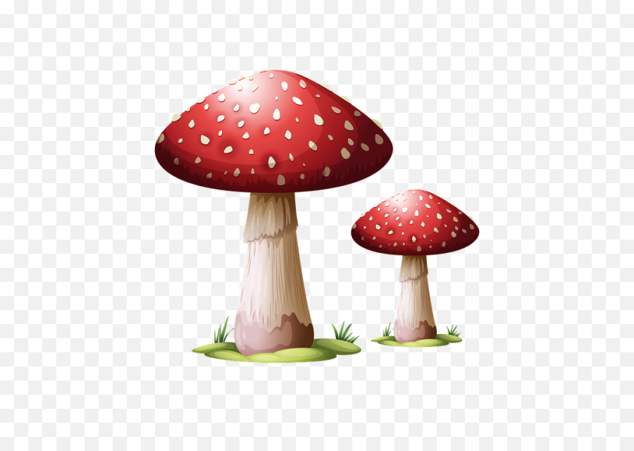 600 Free Wild Mushrooms U0026 Mushroom Images - Pixabay Dibujo De Una Seta Png,Mushroom Transparent Background