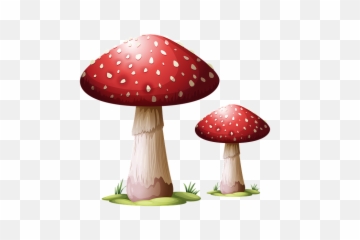 600 Free Wild Mushrooms U0026 Mushroom Images - Pixabay Dibujo De Una Seta Png,Mushroom Transparent Background