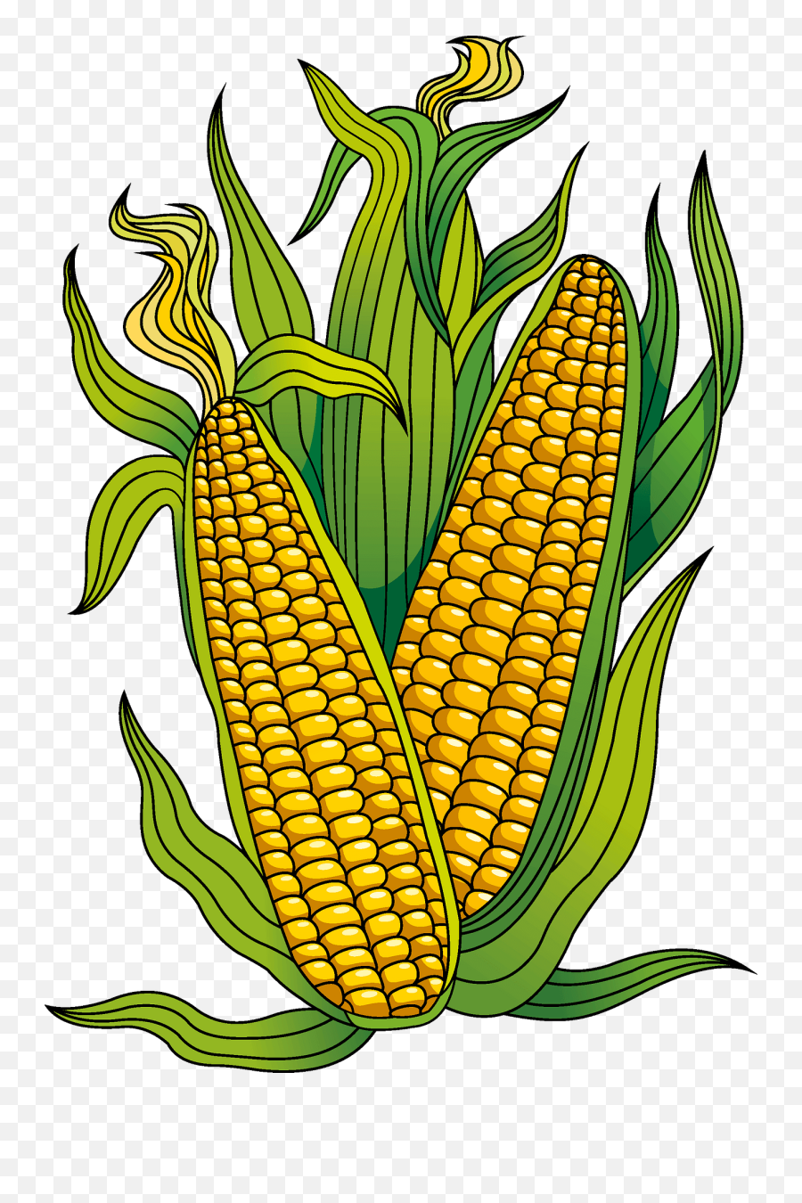 Corn Clipart Free Download Creazilla - Corn Kernels Png,Corn Cob Png
