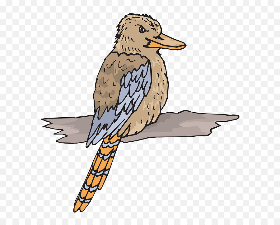 Bird Wood Wings - Free Vector Graphic On Pixabay Kookaburra Clipart Png,Wings Clipart Png