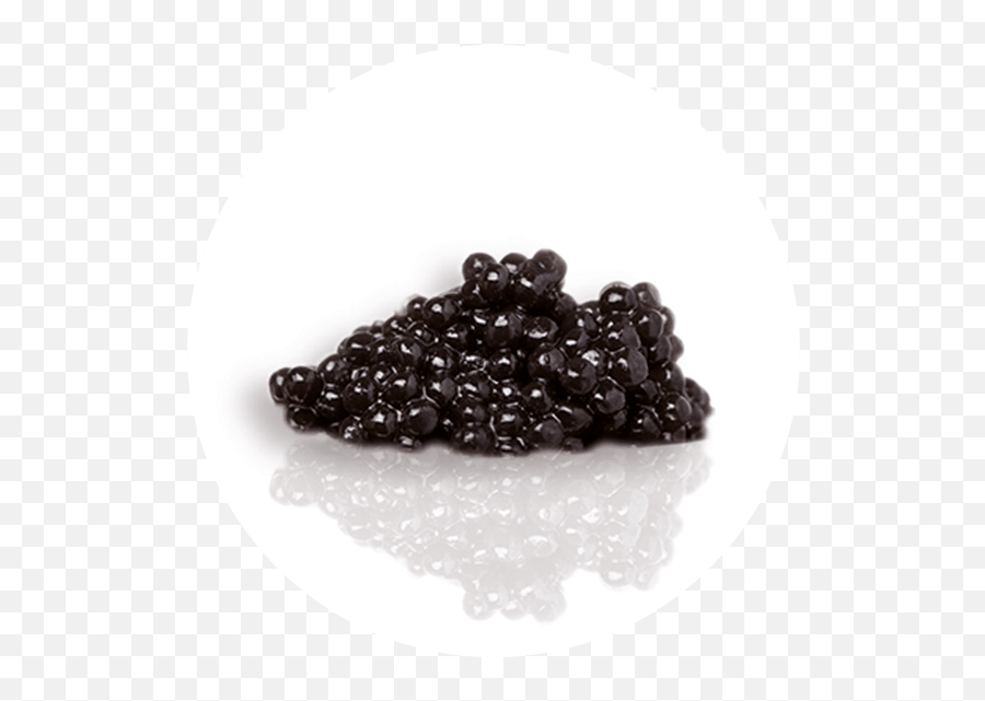Caviar Transparent Png Download - Beluga Caviar Benefits,Caviar Png