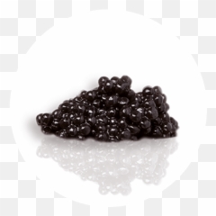 Caviar Transparent Png Download - Beluga Caviar Benefits,Caviar Png