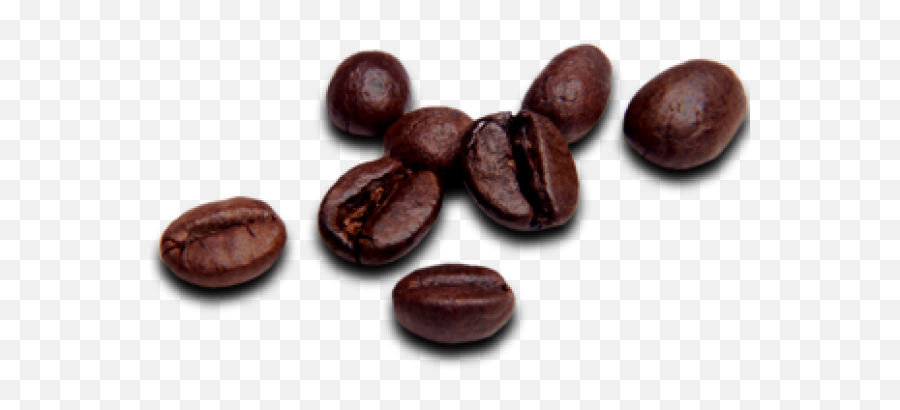 Coffee Beans Png Free Download 20 - Coffee Bean Png,Beans Png