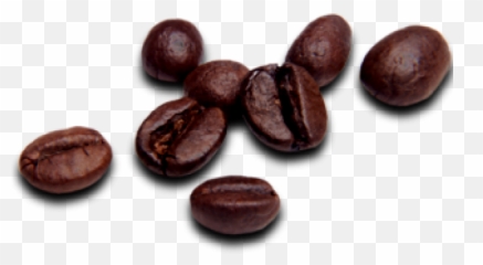 Coffee Beans Png Free Download 20 - Coffee Bean Png,Beans Png