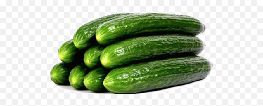 Download Veg Cucumbers Organic English - English Cucumber Png,Cucumber Png