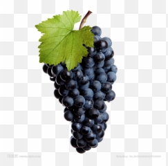 Black Grapes Transparent Image Png Arts - Wine Png