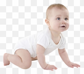 Infant Child Crawling - Baby Crawling Png,Baby Transparent Background