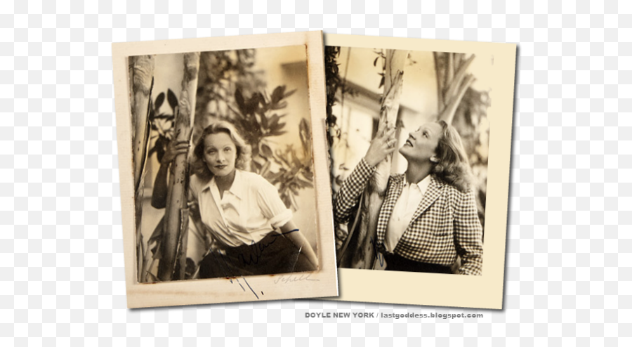 The Lost Island Kingdom Of A 1920s Bad Girl - Marlene Dietrich Joe Carstairs Png,Marlene Dietrich Fashion Icon