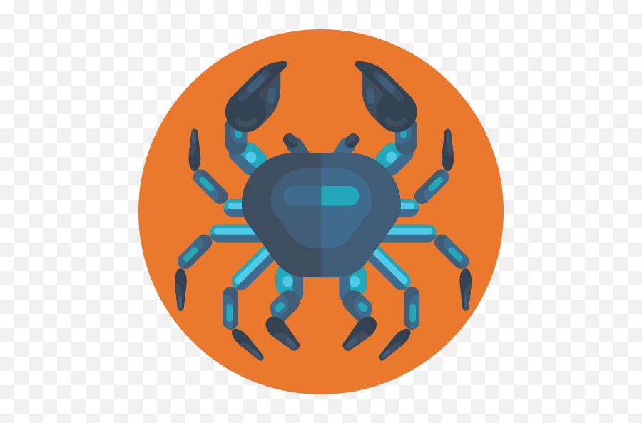 Crab - Cancer Png,Hermit Crab Flat Icon