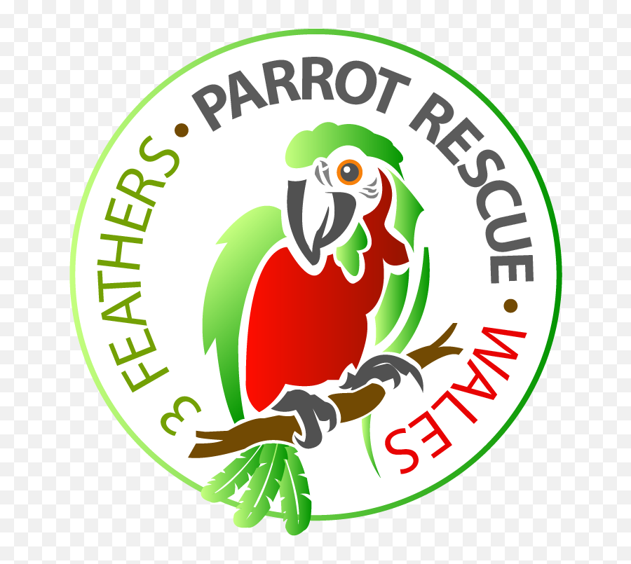 3 Feathers Parrot Rescue Wales Logo Clipart - Full Size Language Png,Search Rescue Icon