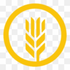 Cropped - Appletouchicon144precomposedpng Plp Marketing Language,Barley Icon