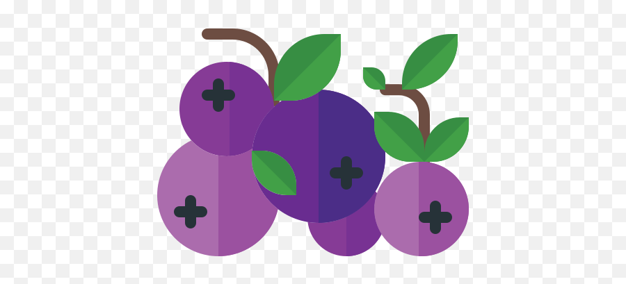 Food Fruit Vegetable Vegetarian Organic Berry - Fresh Png,Berry Icon