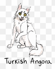 Cats Breeds Sticker - Discover png