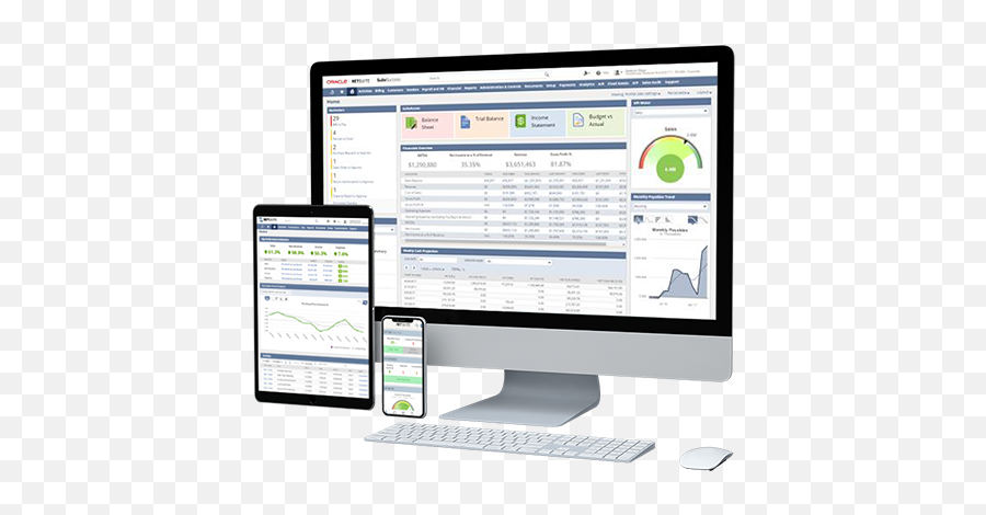 Oracle Netsuite - Datas Technology Acheckin Chm Công Png,Netsuite Icon