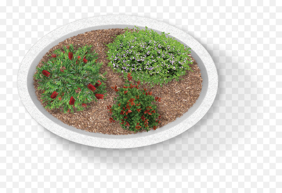 Download Moss Png Image With No - Moss,Moss Png