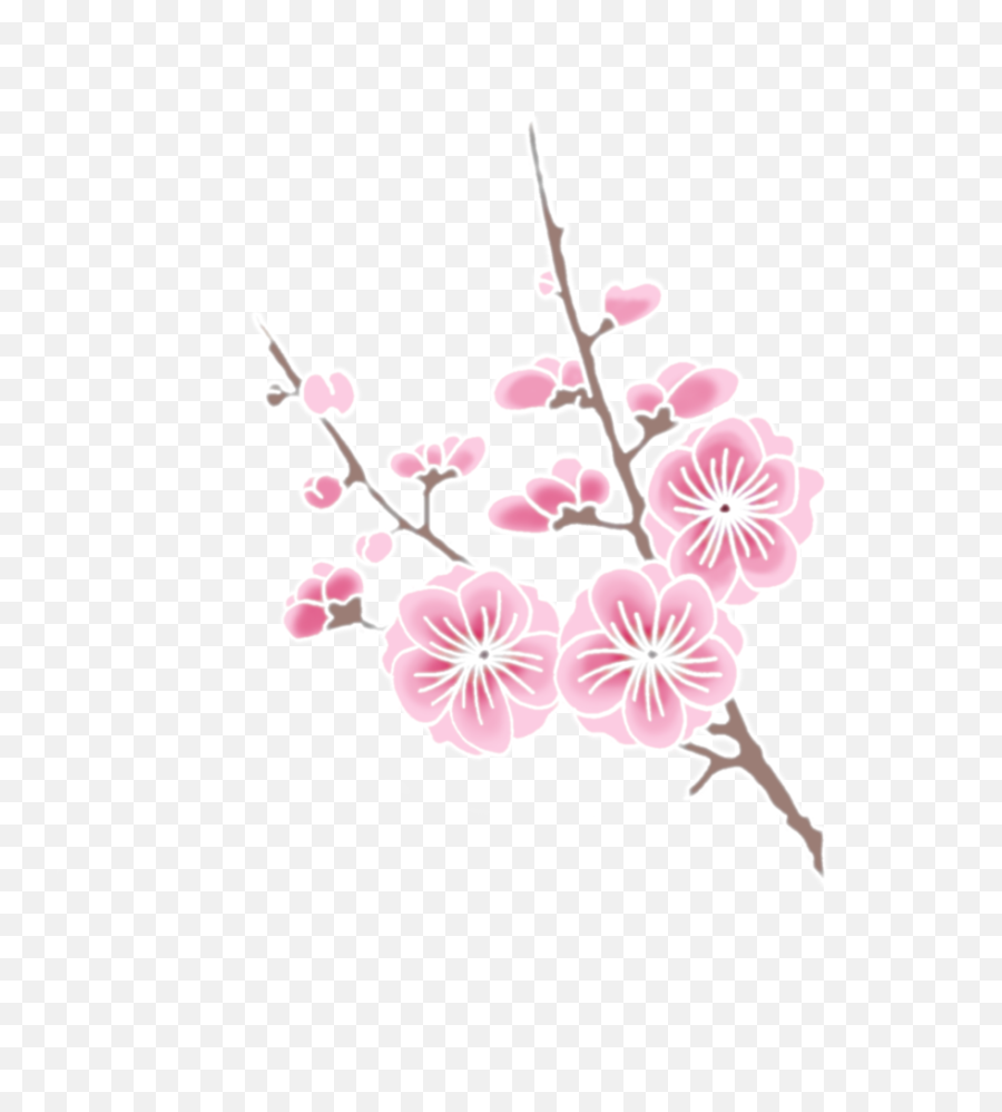 Cherry Blossom Png - Cherry Blossom Branch Clipart Png,Blossom Png