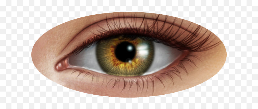 Eyes Png Icon - Paint Eyes In Photoshop,Eyes Transparent.