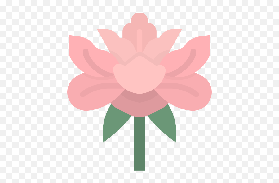 Peony - Free Nature Icons Illustration Png,Peonies Png