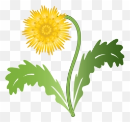 Graphic Dandelion Flower - Free Vector G 1527392 Png Yellow Dandelion Clip Art,Dandelions Png