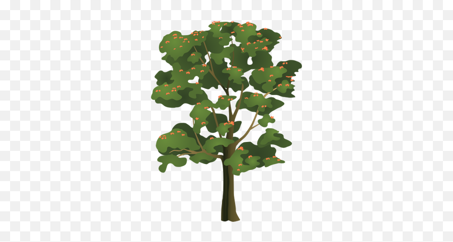 Index Of - Tulip Tree Clipart Png,African Tree Png