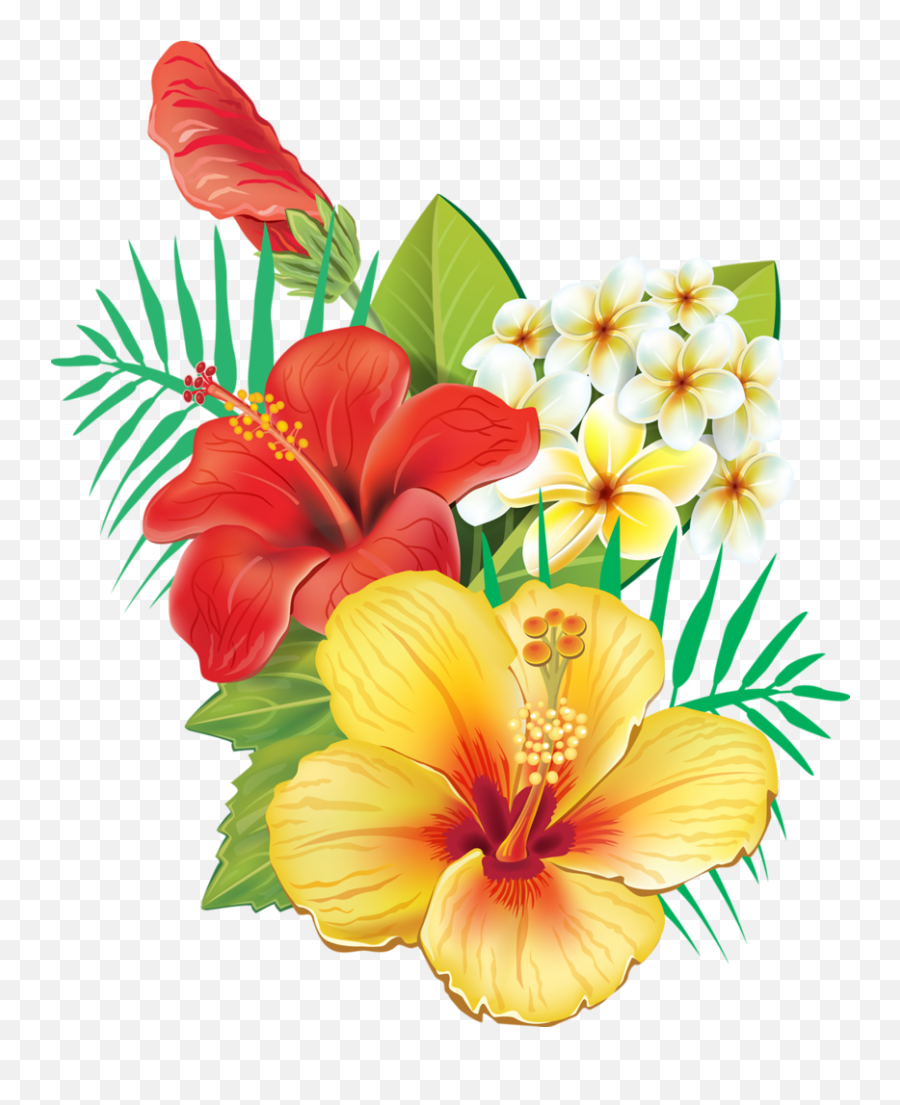 Tropical - Hawaiian Flowers Png,Hibiscus Flower Png