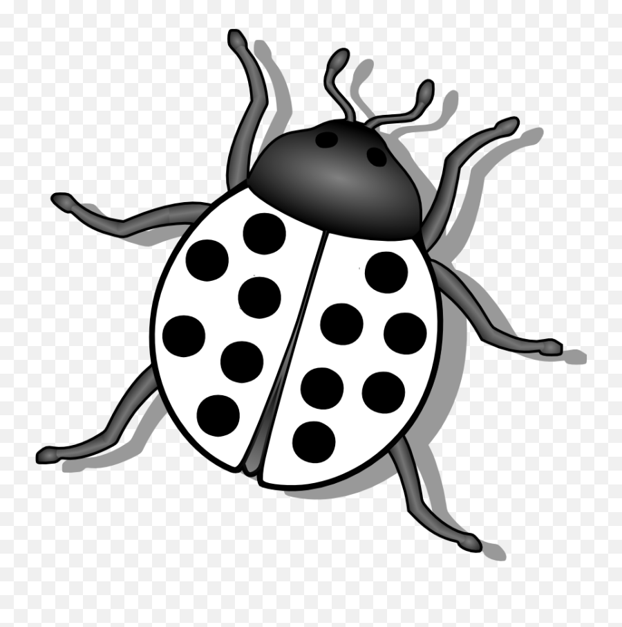 Bugs Png Black And White Transparent - Bug Black White,Lady Bug Png