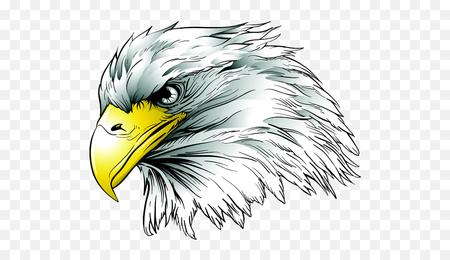 Louisiana War Eagles U2013 Deaf Sports Logos - Louisiana School For The Deaf Mascot Png,Eagle Logos Images