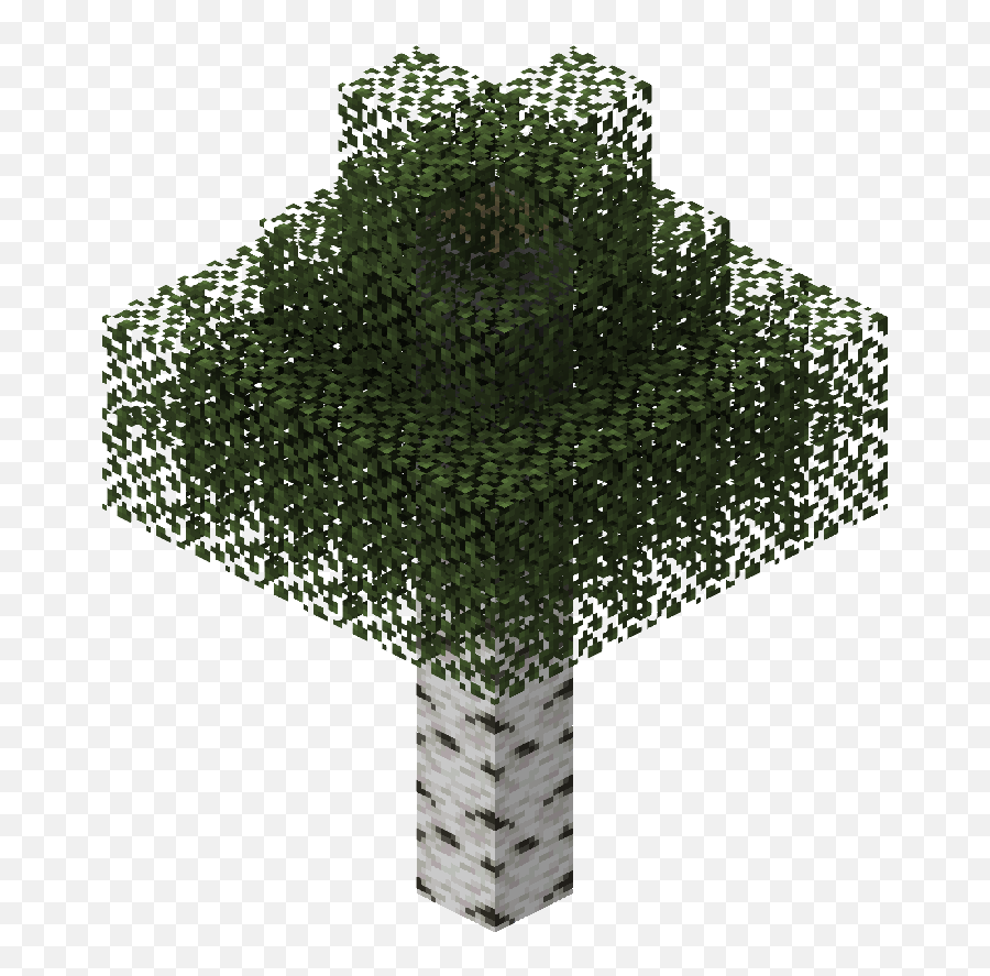 Birch Tree - Minecraft Tree Png,Birch Tree Png