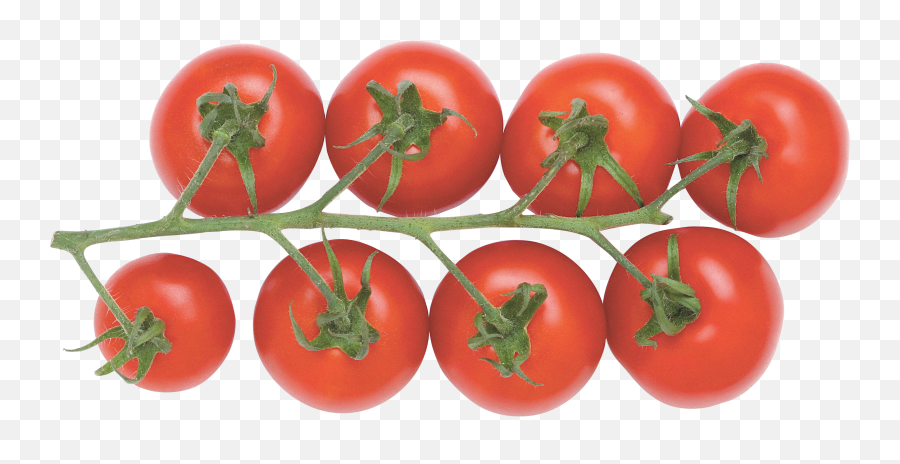 Download Tomatoes Png Image For Free Tomato Transparent Background