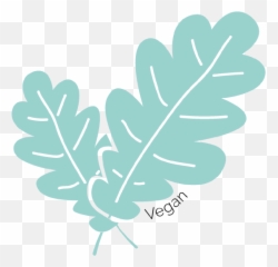 Sleepcarrier Is Smarter Babynest Designed In Sweden - Najell Maidenhair Fern png