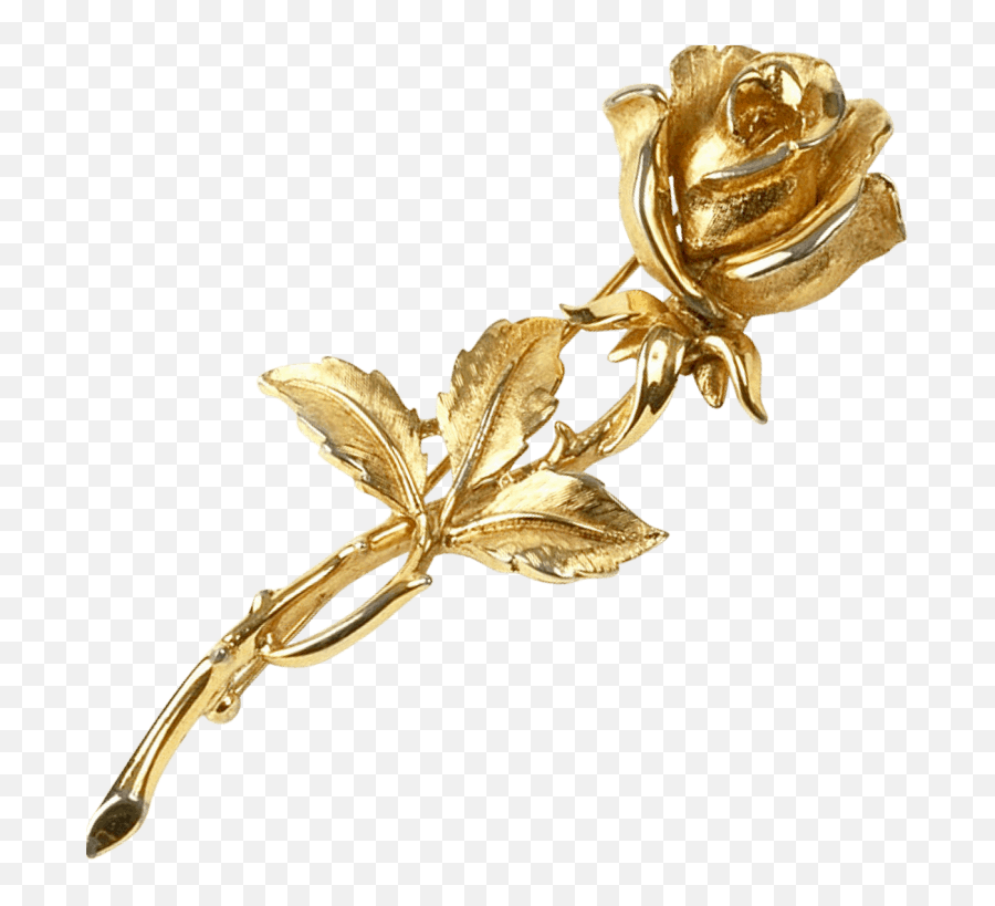 Gold Dipped Roses U2013 A Golden Twist To The Classic Flower - Einladung Zum 80 Geburtstag Png,Gold Flower Png
