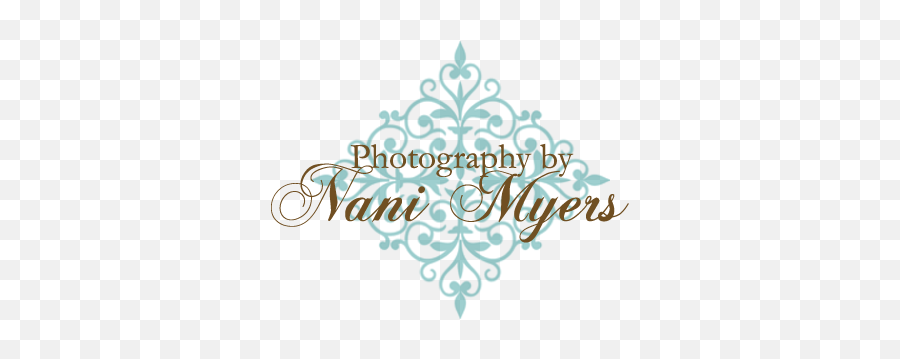 Photography By Nani Myers - Decorative Png,Nani Png