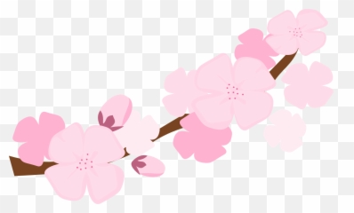 10 Sakura Blossom Clipart Symbol Free Clip Art Stock - Cherry Blossoms Clipart Png,Sakura Png