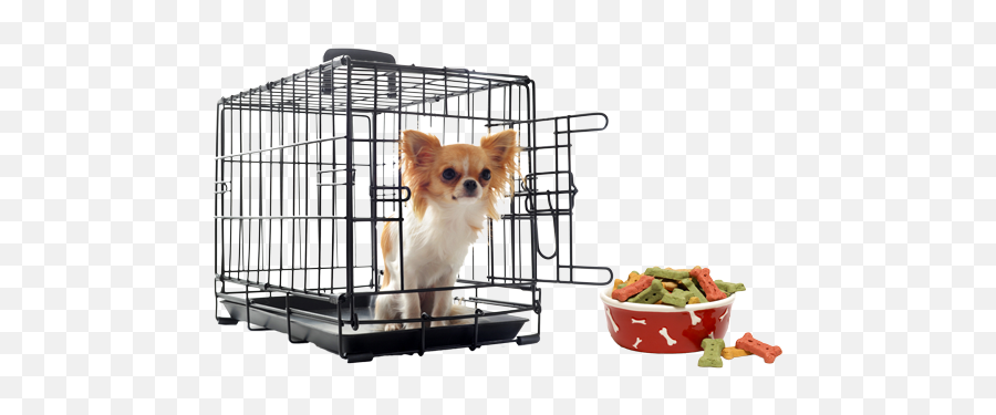 Puppy Crate Toilet Training Petcare Vets - Dog Crates For Chihuahua Png,Crate Png