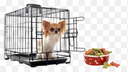 Puppy Crate Toilet Training Petcare Vets - Dog Crates For Chihuahua Png,Crate Png