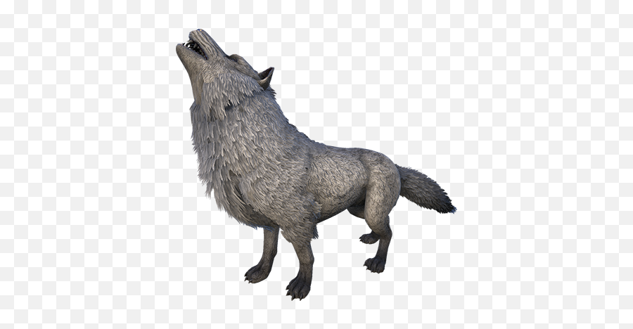 Wolf Drawing png download - 1024*676 - Free Transparent Ark Survival  Evolved png Download. - CleanPNG / KissPNG