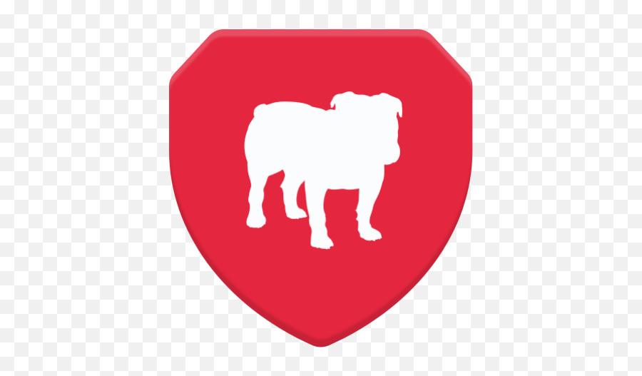 Bullguard - Bullguard Vpn Logo Png,Ipvanish Icon