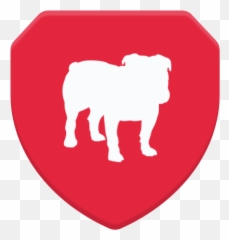 Bullguard - Bullguard Vpn Logo Png,Ipvanish Icon