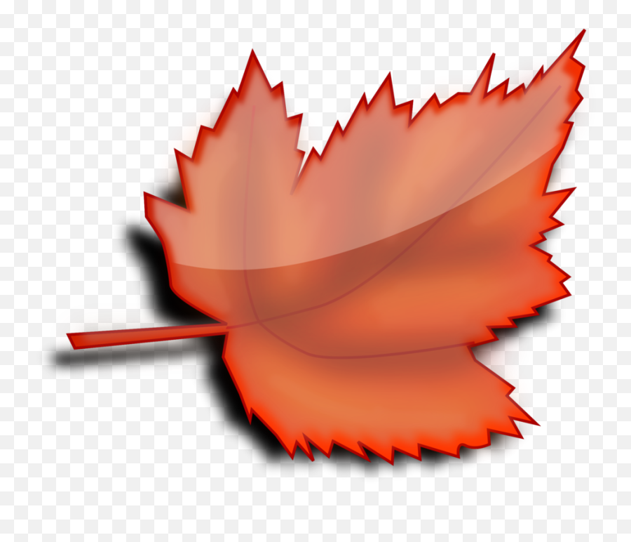 Plantflowerleaf Png Clipart - Royalty Free Svg Png Clipart Autumn Maple Leaf,Maple Leaf Icon Png