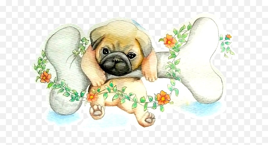 Pug Watercolor Cute - Free Image On Pixabay Pug Watercolor Png,Pug Transparent Background